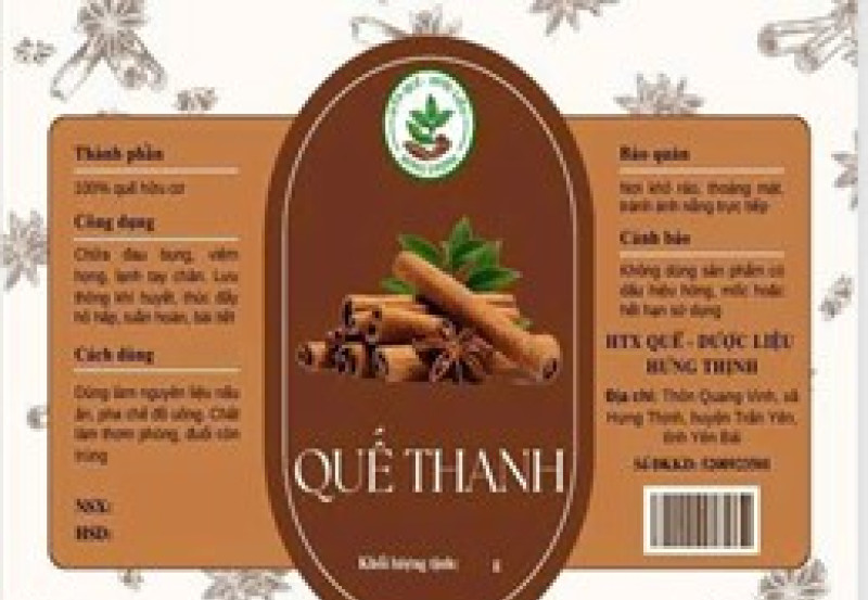 Công Dụng Kỳ Diệu Của Quế Trong Cuộc Sống Và Sức Khỏe