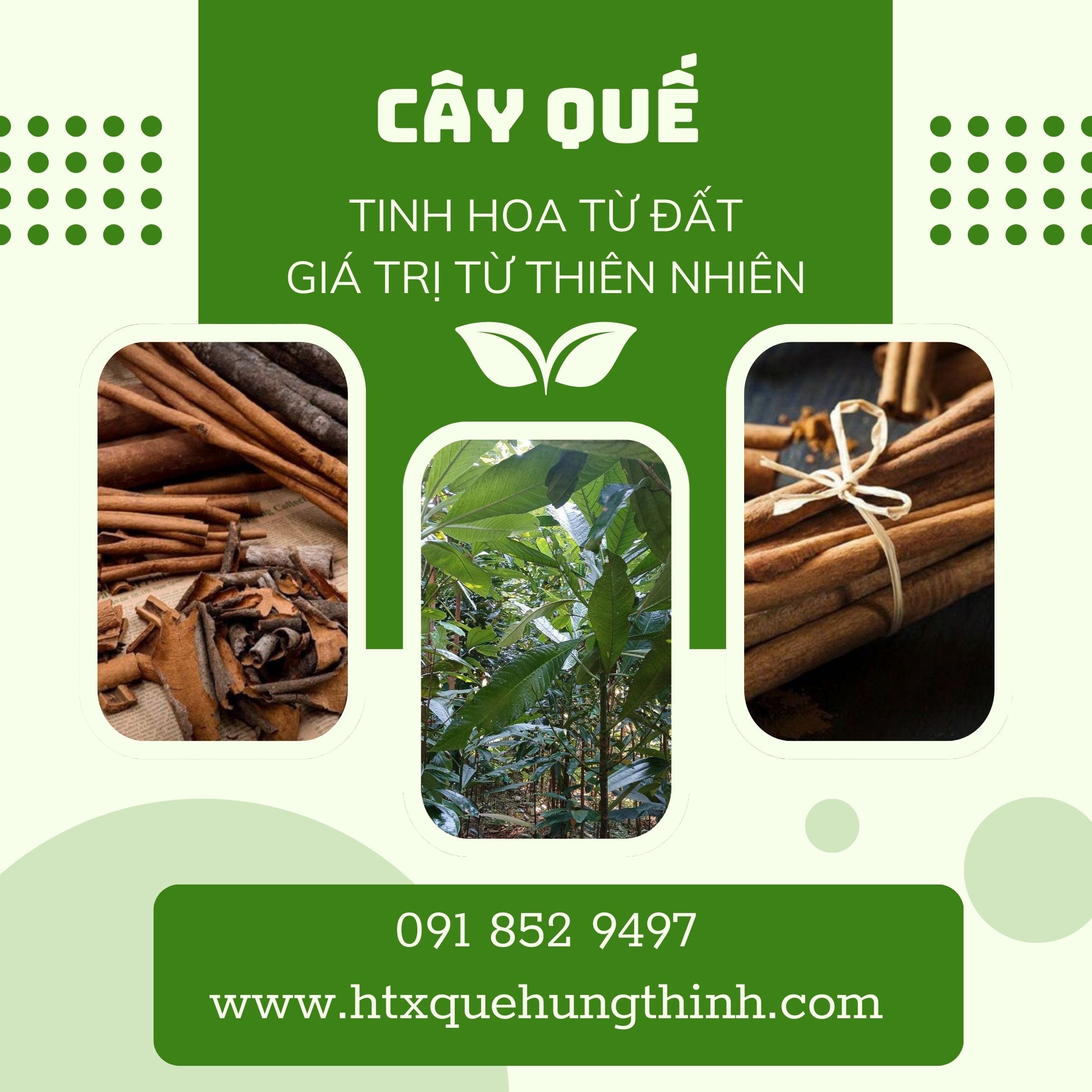 HTX Quế Dược liệu Hưng Thịnh