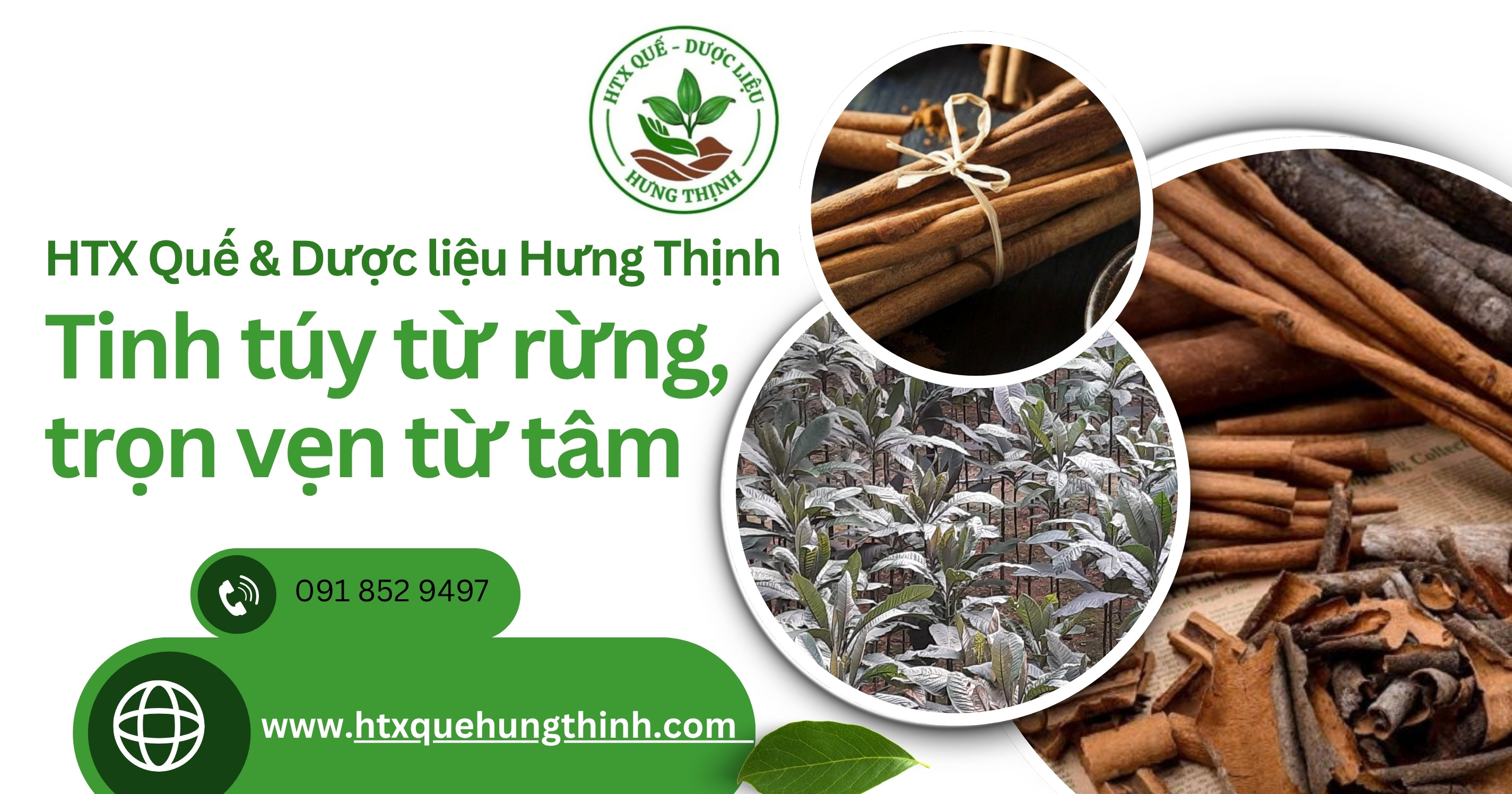 HTX Quế Dược liệu Hưng Thịnh