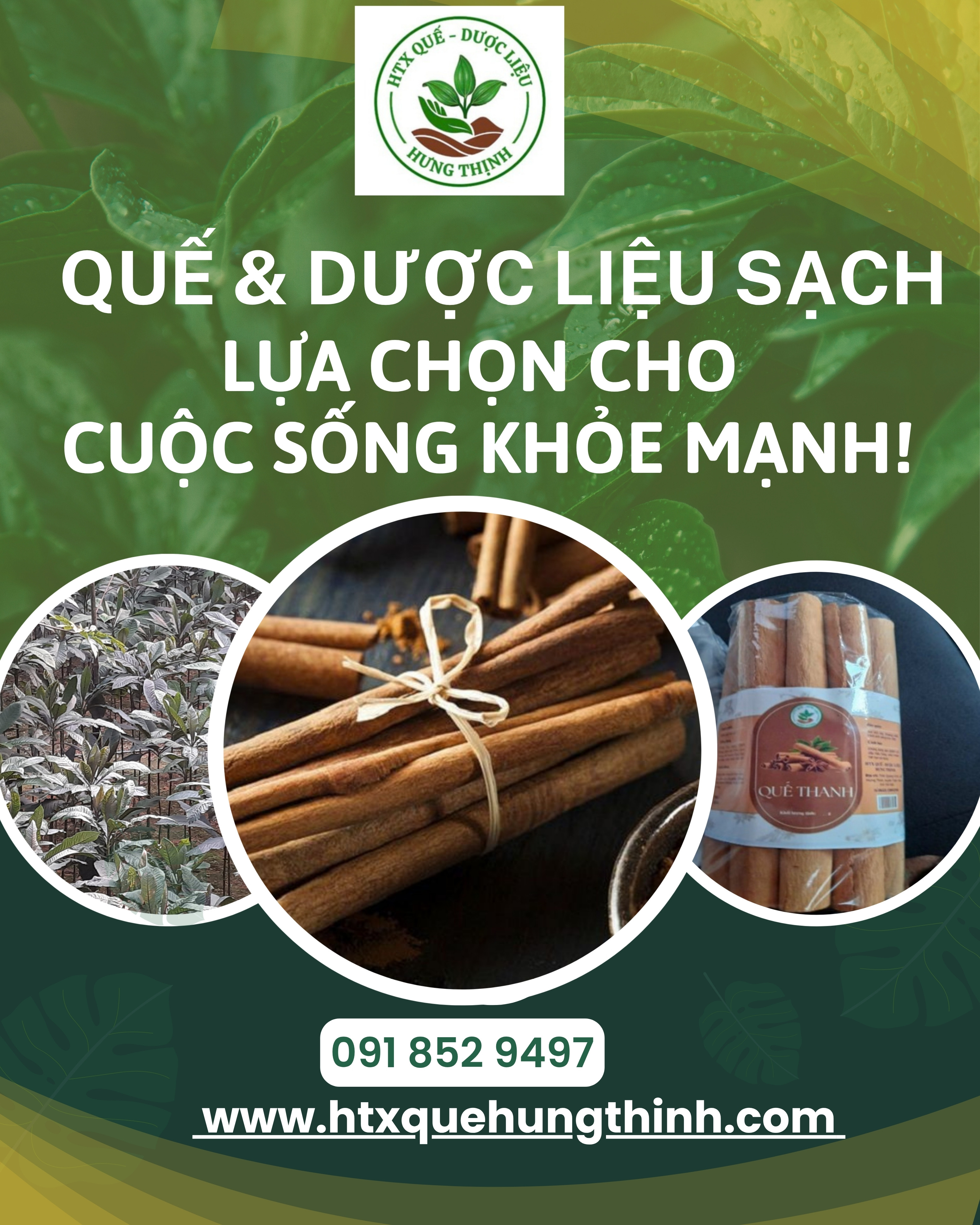 HTX Quế Dược liệu Hưng Thịnh